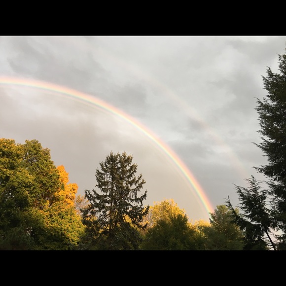 Meet your Posh Ambassador, Sharon - Picture 2 of 2